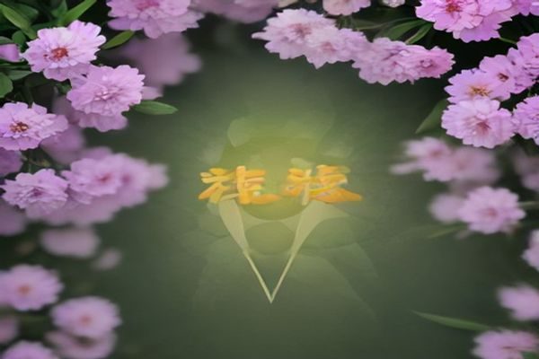 抽象数字网络节点图，象征草榴社区在互联网中的分布式存在与内容流通生态，青绿色调